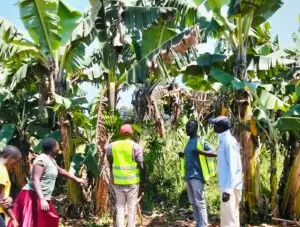 Empowering Farmers in Kenya’s Great Lakes Region: Digital Upskilling for Informed Soil Conservation, Informed Agro-Investment and Interlinkages with Institutional Support Infrastructure